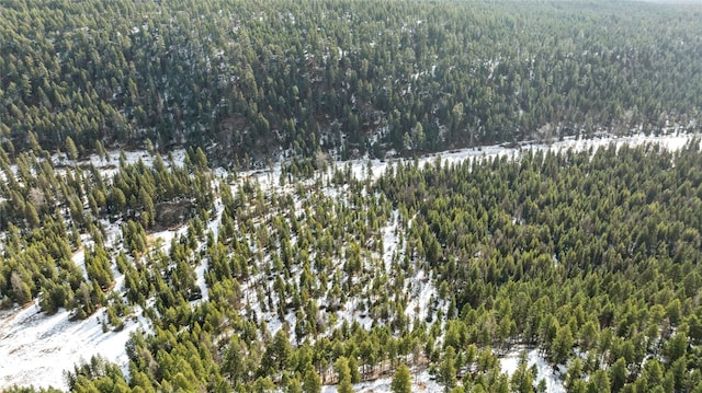 aerial view with a wooded view