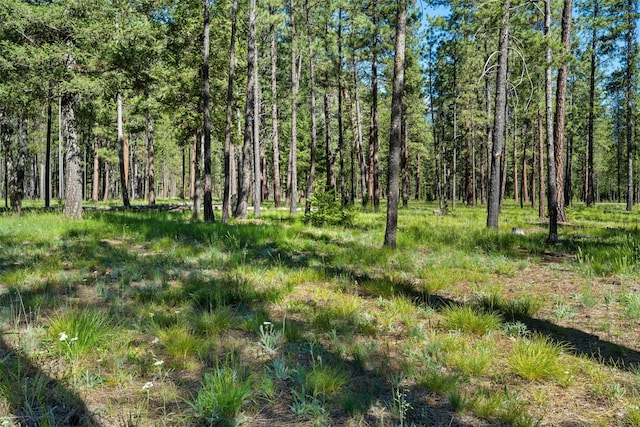 view of nature with a forest view