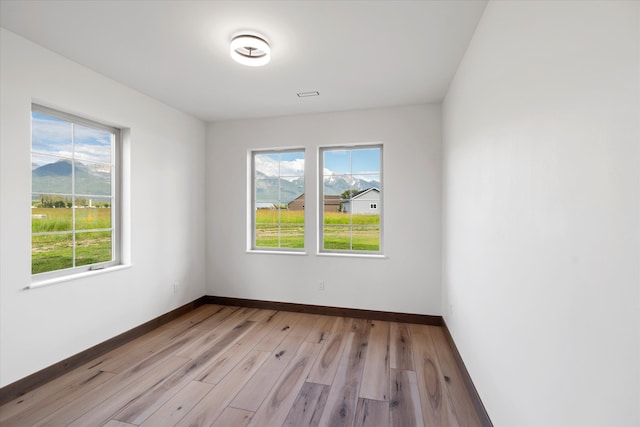 empty room featuring light hardwood / wood-style floors and a wealth of natural light