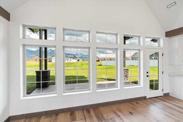 entryway featuring a wealth of natural light, wood-type flooring, and high vaulted ceiling