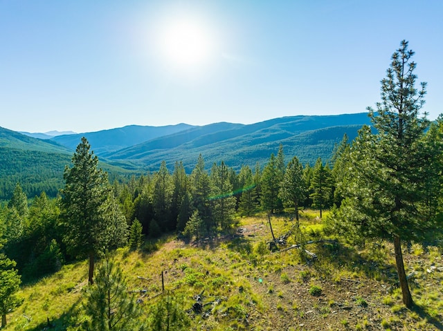 467 Wolf Creek Rd, Libby MT, 59923 land for sale