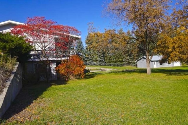 view of yard