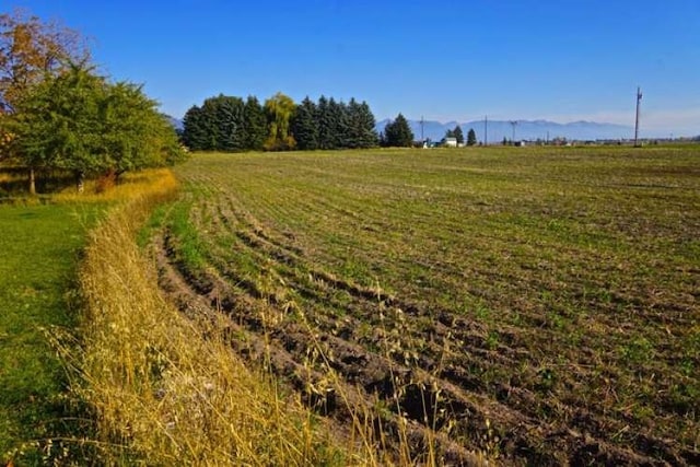 view of local wilderness featuring a rural view