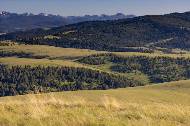 mountain view featuring a view of trees