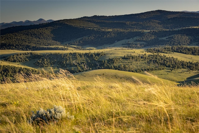 view of mountain feature