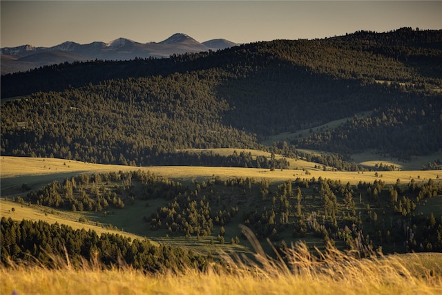 mountain view featuring a forest view