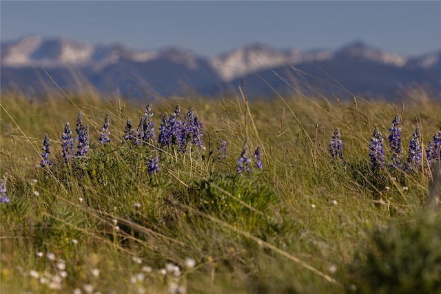 view of mountain feature