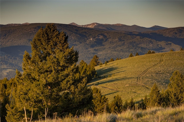 view of mountain feature