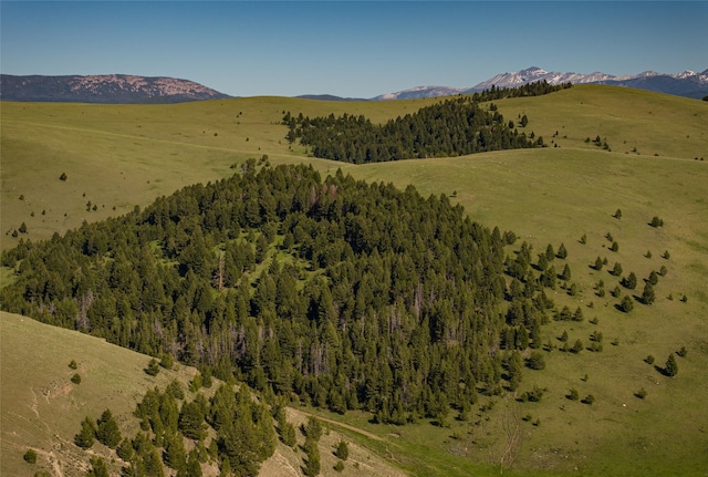 view of mountain feature