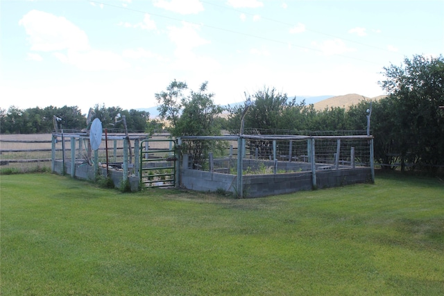 240 Ponderosa Rd, Melrose, MT 59743 - view of yard with a vegetable garden and a mountain view