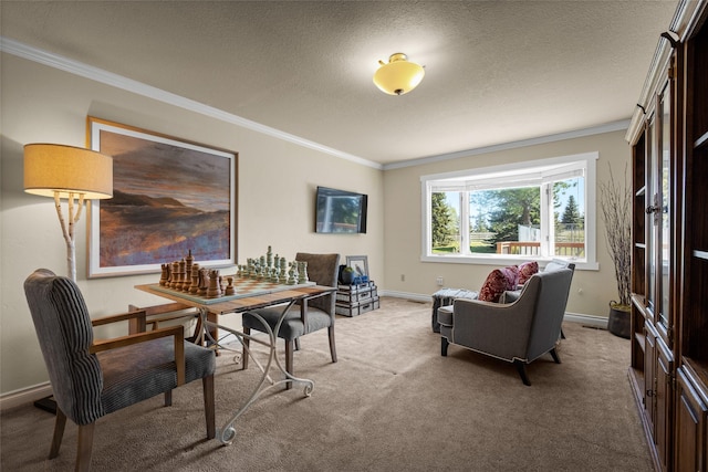 417 Sirucek Ln, Kalispell, MT 59901 - carpeted office featuring ornamental molding and a textured ceiling