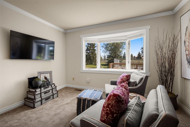 417 Sirucek Ln, Kalispell, MT 59901 - living area featuring carpet flooring and crown molding
