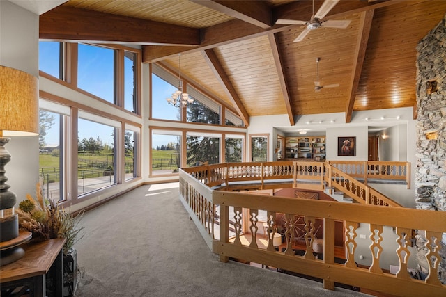 417 Sirucek Ln, Kalispell, MT 59901 - carpeted living area featuring a wooden ceiling with exposed beams, high vaulted ceiling, and ceiling fan