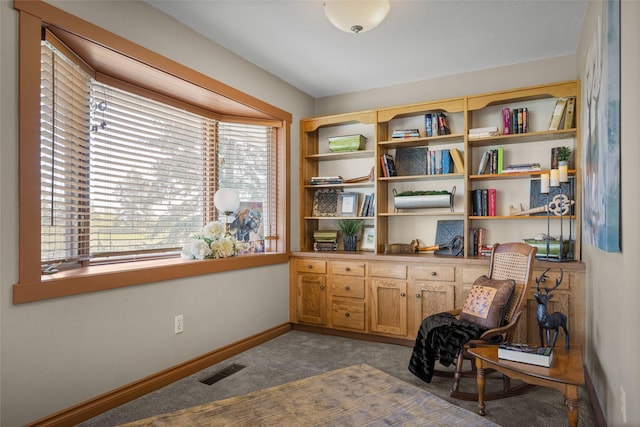 417 Sirucek Ln, Kalispell, MT 59901 - living area with dark carpet and baseboards