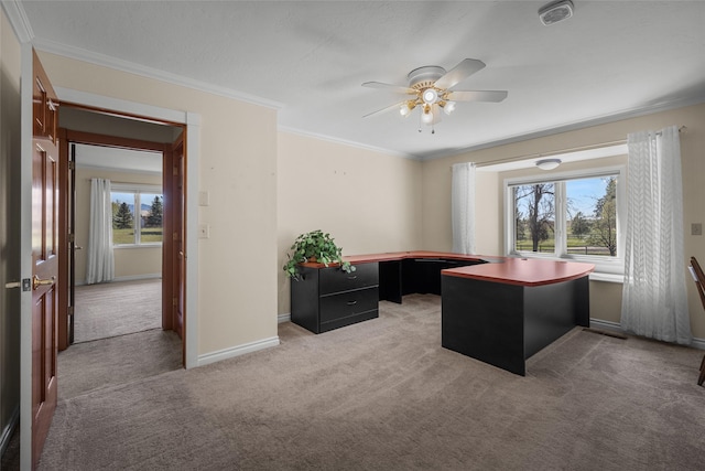 417 Sirucek Ln, Kalispell, MT 59901 - unfurnished office featuring light carpet, healthy amount of natural light, ceiling fan, and ornamental molding