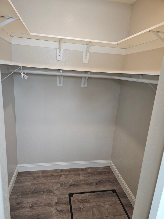 walk in closet with dark wood-type flooring