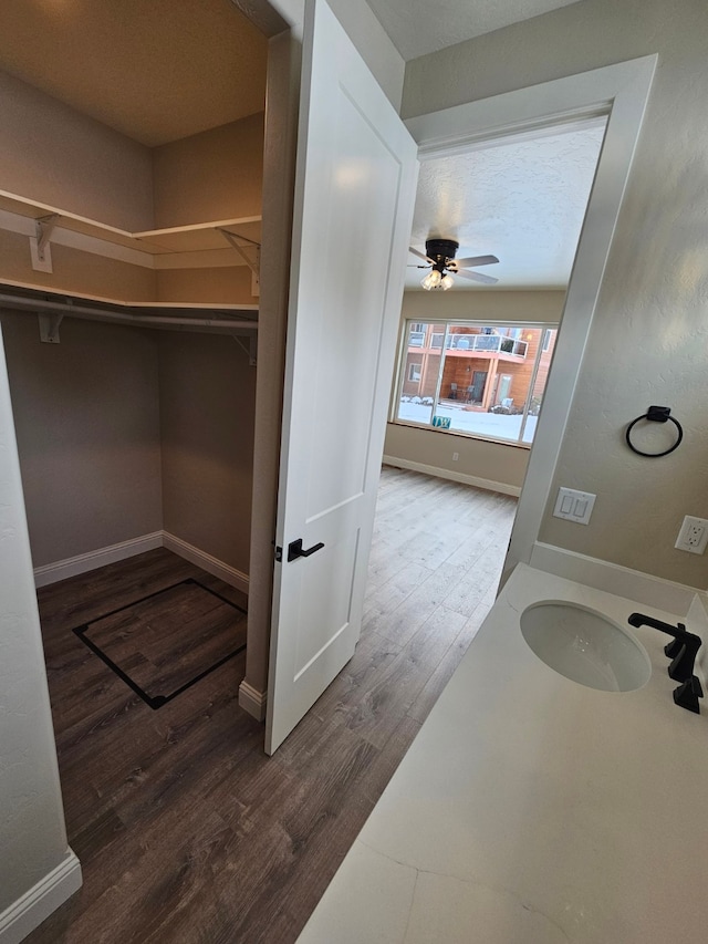 bathroom with wood-type flooring, sink, and ceiling fan