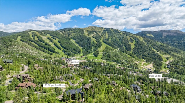 186 Ridge Run Dr, Whitefish, MT 59937