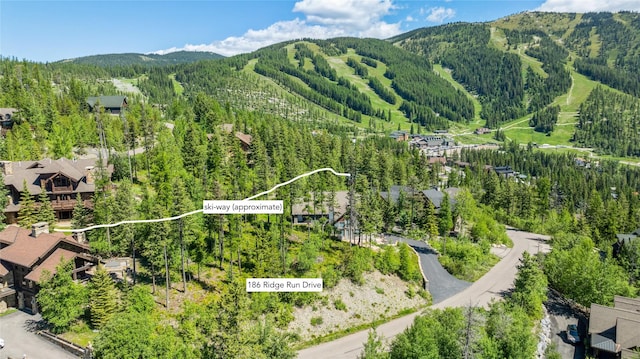 186 Ridge Run Dr, Whitefish, MT 59937