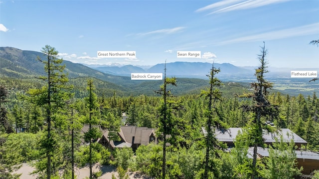 186 Ridge Run Dr, Whitefish, MT 59937