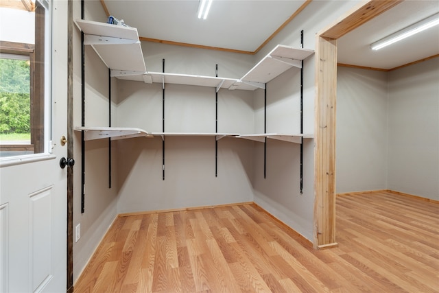 spacious closet with light hardwood / wood-style flooring