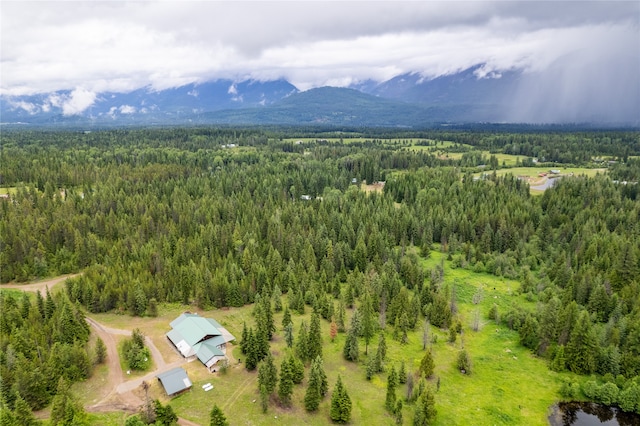 aerial view with a mountain view