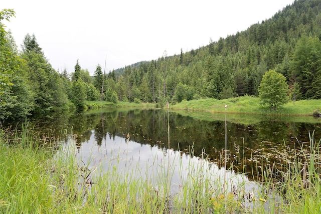 96 S Sanctuary Loop, Heron, MT 59844 - water view featuring a heavily wooded area