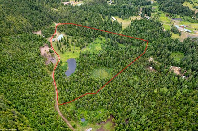 96 S Sanctuary Loop, Heron, MT 59844 - view of property location with a forest and property boundaries highlighted