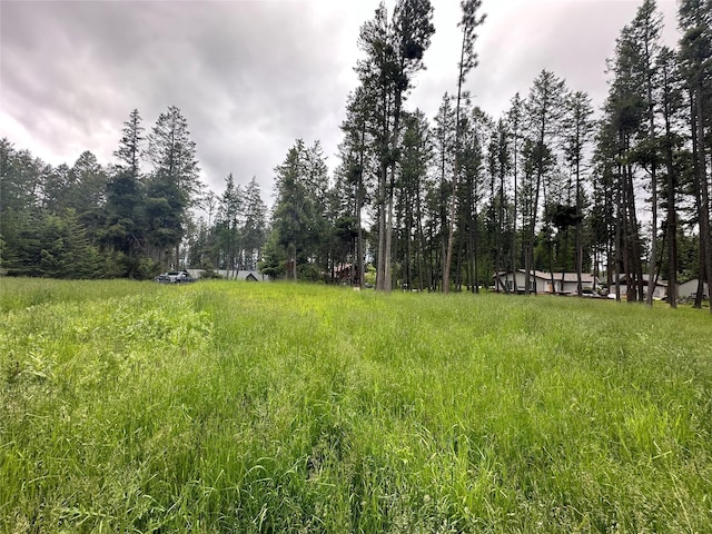 13962 Pine St, Bigfork MT, 59911 land for sale