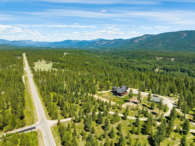 drone / aerial view featuring a mountain view