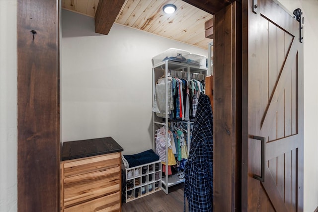 spacious closet with a barn door, dark hardwood / wood-style floors, and beamed ceiling