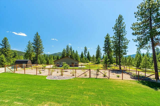 view of yard featuring a rural view and a mountain view