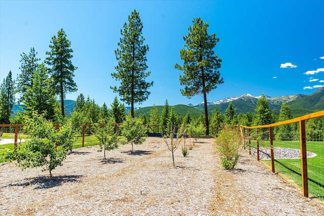 view of yard featuring a rural view and a mountain view