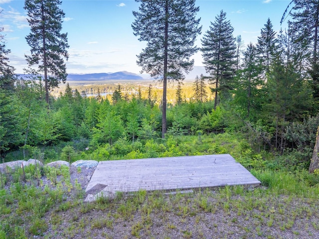 454 Haugen Heights Rd, Whitefish, MT 59937