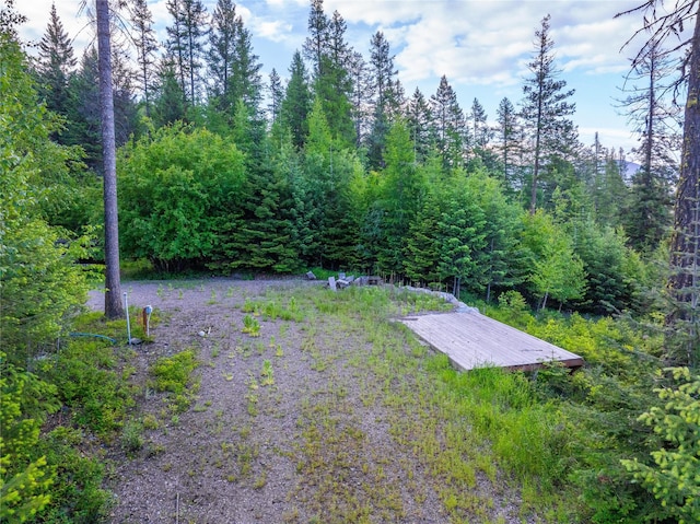 454 Haugen Heights Rd, Whitefish, MT 59937
