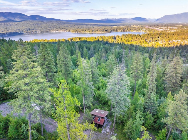 454 Haugen Heights Rd, Whitefish, MT 59937