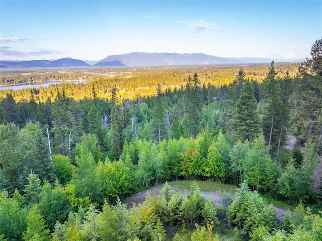 454 Haugen Heights Rd, Whitefish, MT 59937