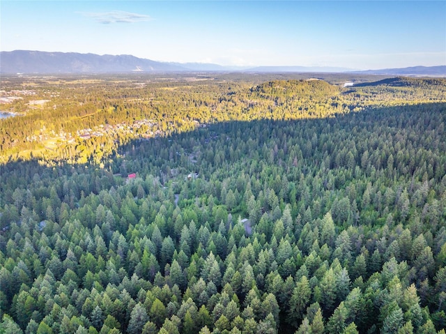 454 Haugen Heights Rd, Whitefish, MT 59937