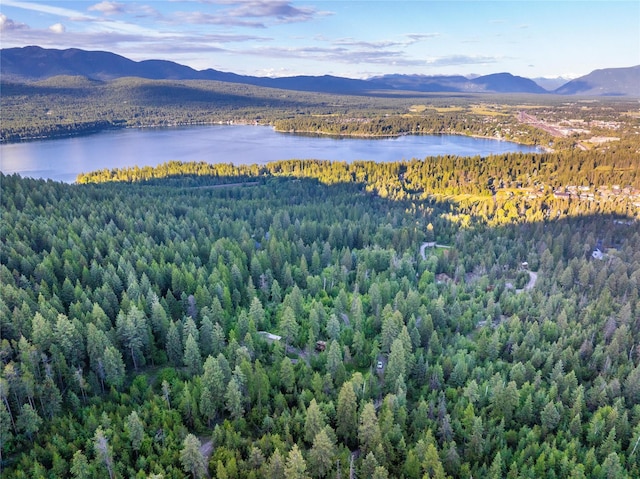 454 Haugen Heights Rd, Whitefish, MT 59937