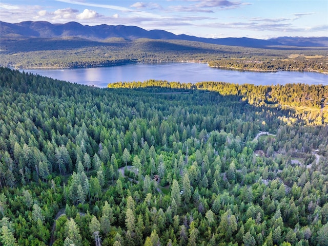 454 Haugen Heights Rd, Whitefish, MT 59937