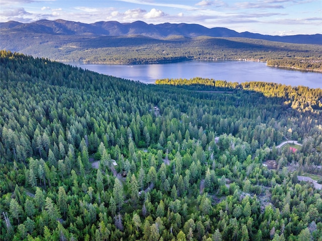 454 Haugen Heights Rd, Whitefish, MT 59937