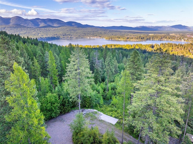 454 Haugen Heights Rd, Whitefish, MT 59937