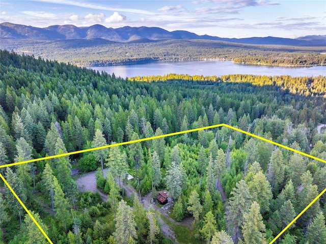 454 Haugen Heights Rd, Whitefish, MT 59937