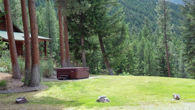 view of yard with a hot tub