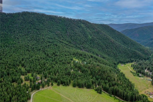 view of mountain feature