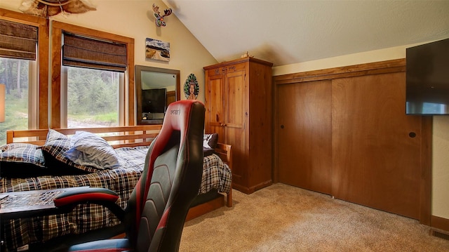 carpeted bedroom with lofted ceiling