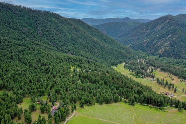 view of mountain feature