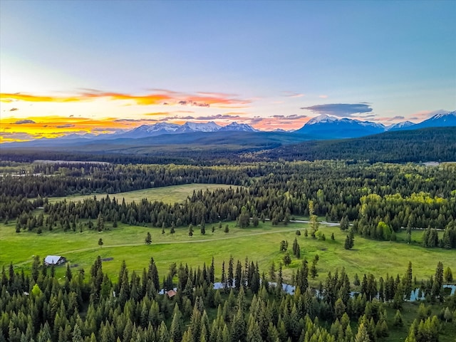 8500 N Fork Rd, Polebridge MT, 59928 land for sale