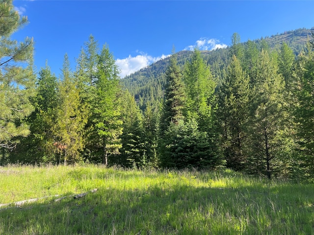 TBD E Fisher River Rd, Libby MT, 59923 land for sale