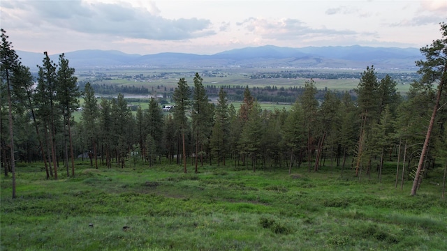 10570 Horseback Ridge Rd, Missoula MT, 59804 land for sale